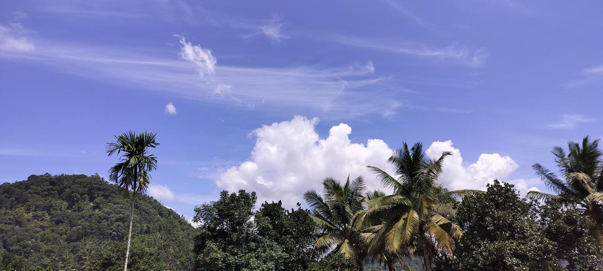 Himadri Munnar Holidays Esterno foto