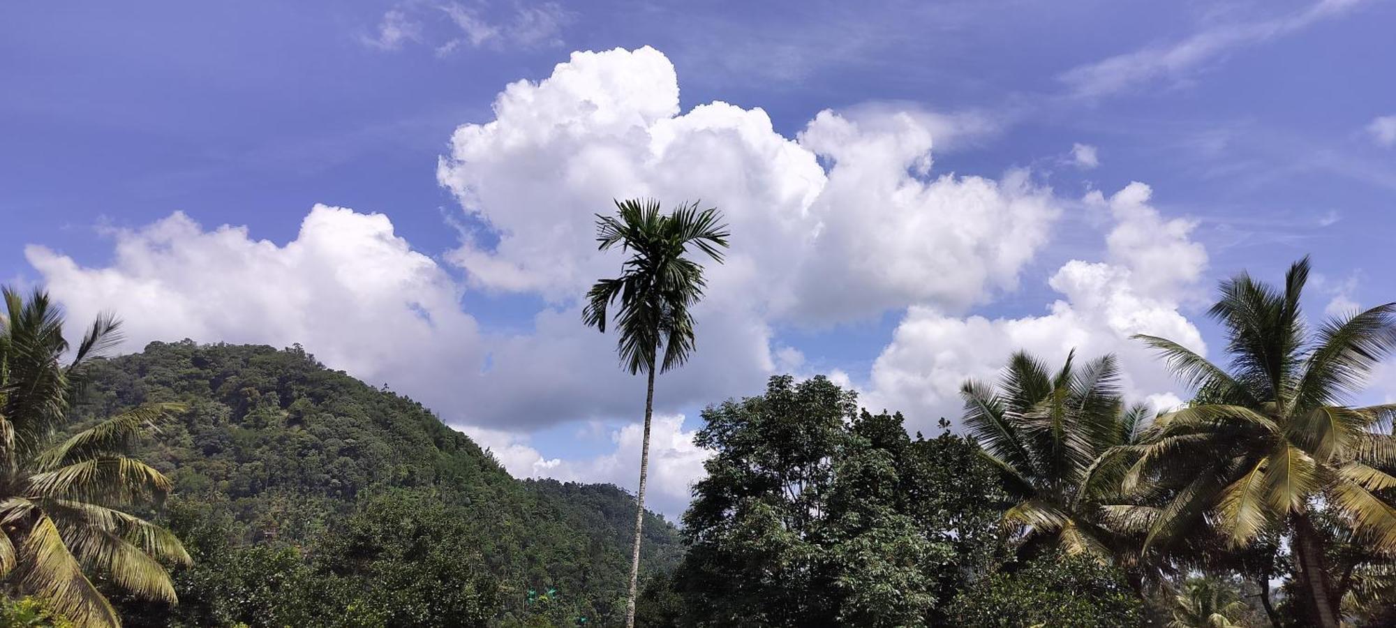 Himadri Munnar Holidays Esterno foto
